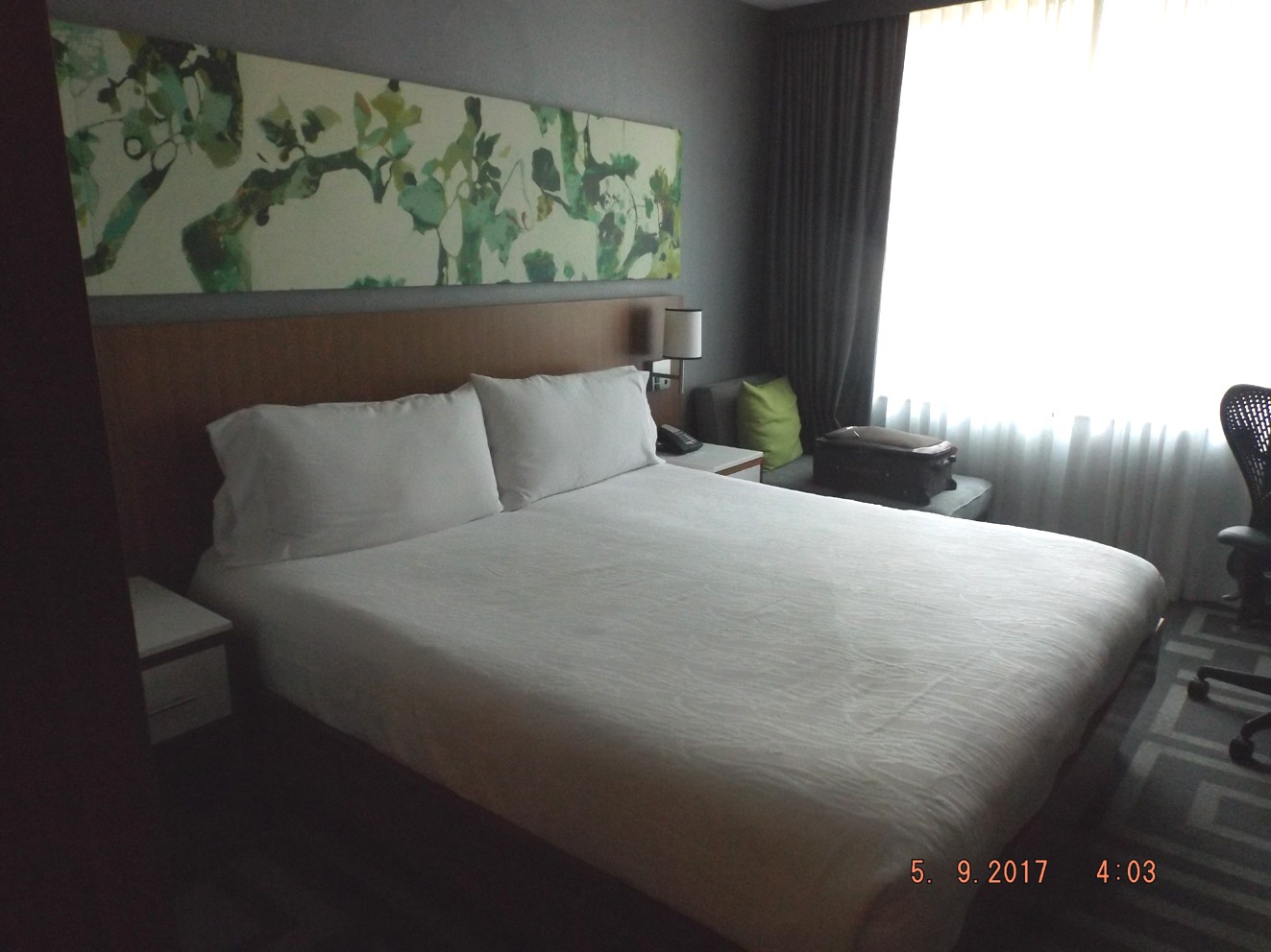Hilton 