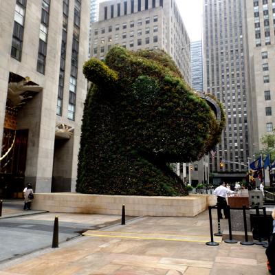 Jeff Koons au Rockfeller Center